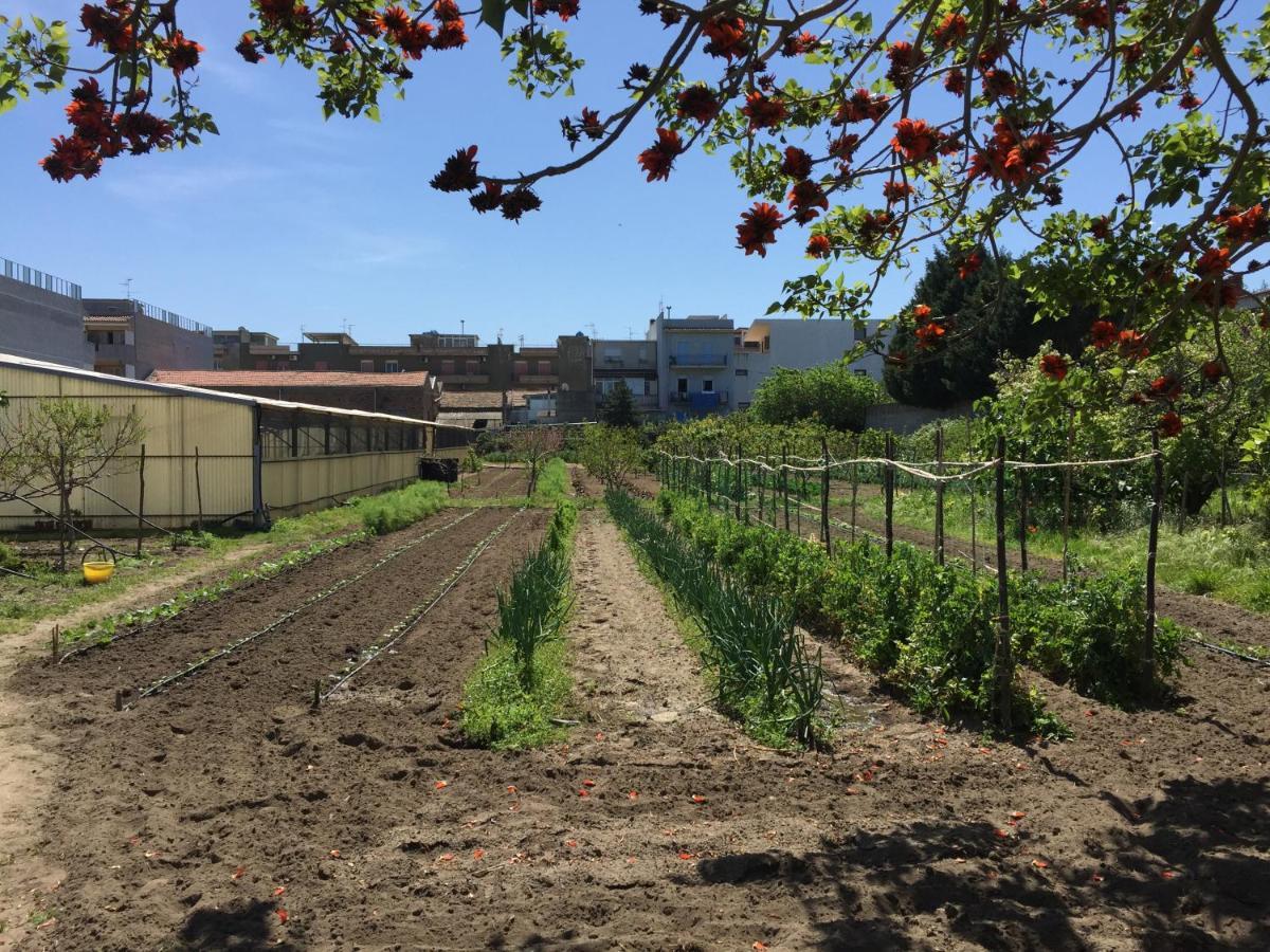 Ortosalato Agricamping Torregrotta Εξωτερικό φωτογραφία