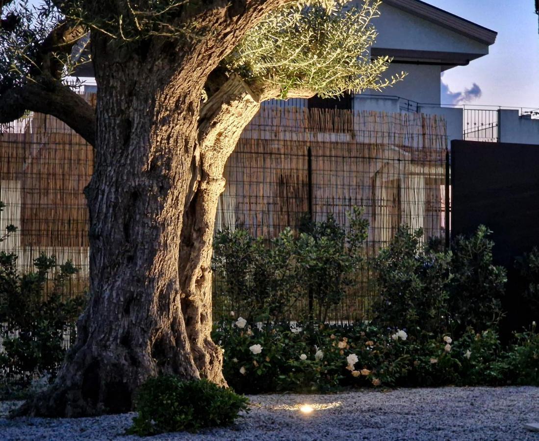 Ortosalato Agricamping Torregrotta Εξωτερικό φωτογραφία